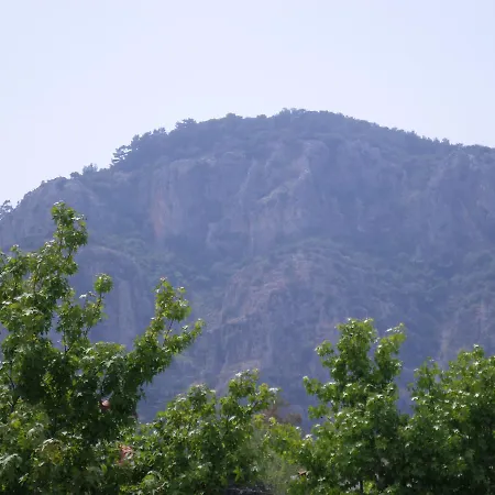 Lydian * Ortaca (Mugla)